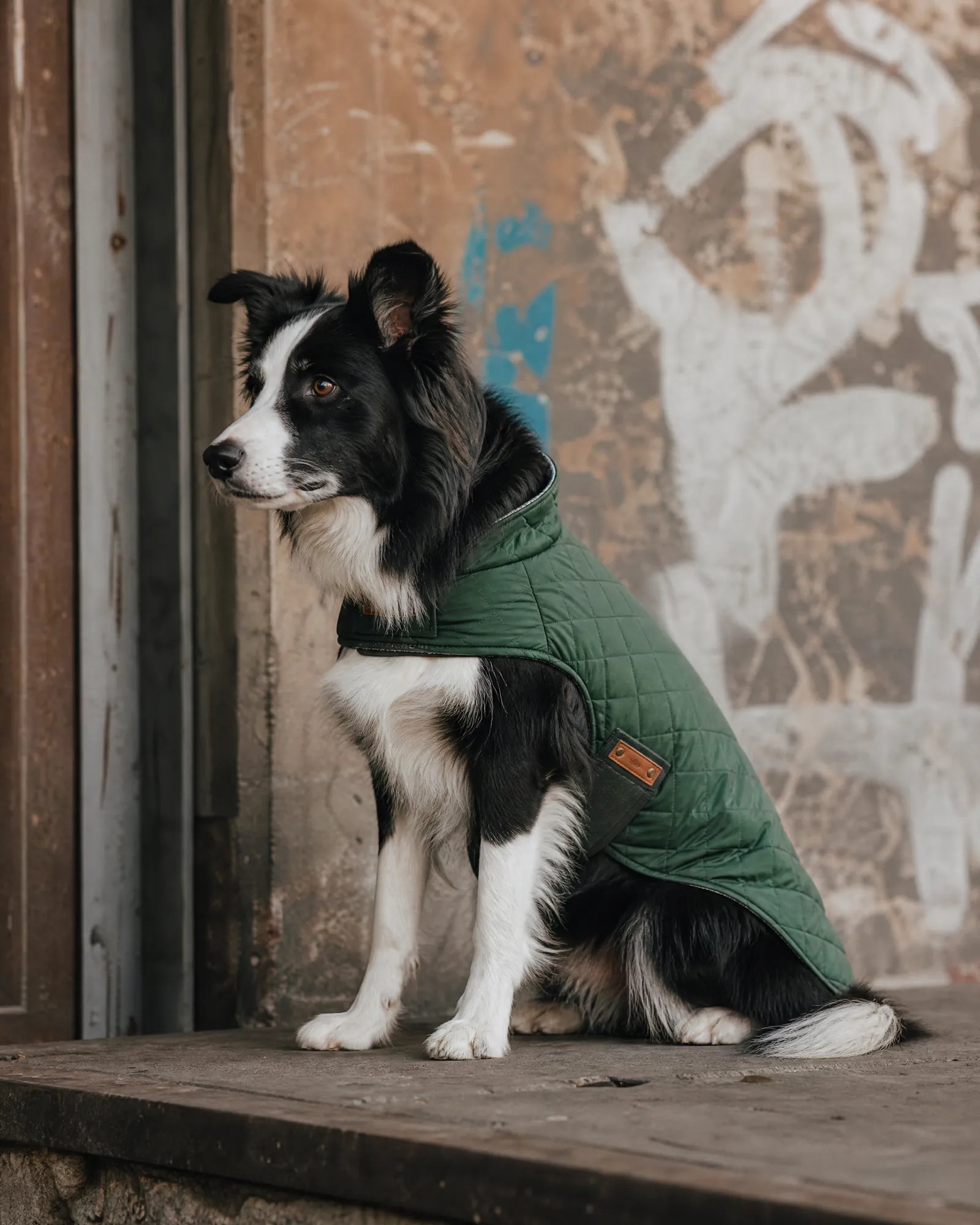 The Berlin Edit